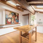Pantheon Charming Penthouse Apartment